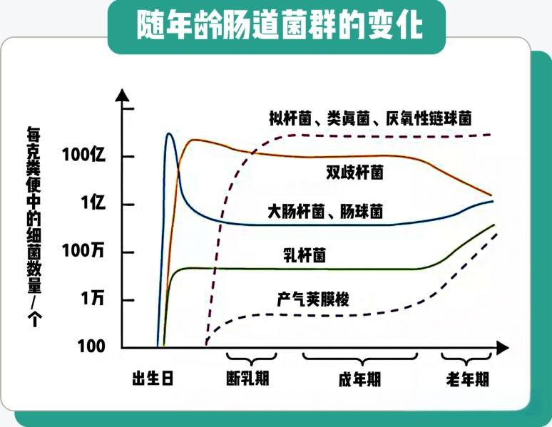 随年龄肠道菌群的变化