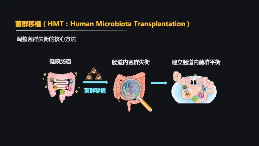 什么是肠道菌群移植